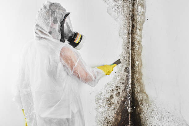 Water Damage Restoration in Clearlake Oaks, CA