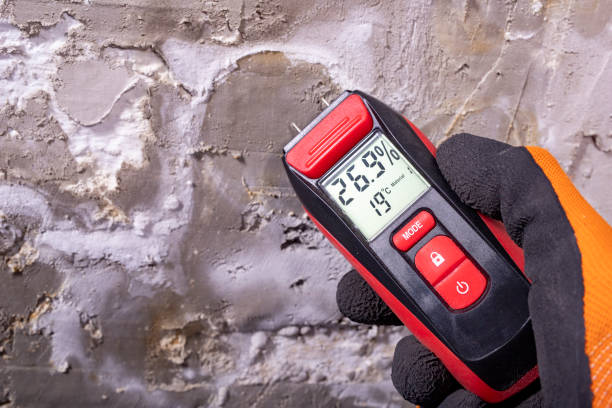 Best Certified Mold Removal  in Clearlake Oaks, CA