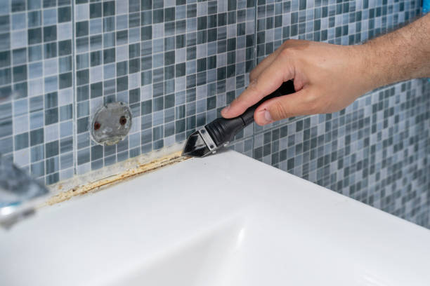 Best Toxic Mold Removal  in Clearlake Oaks, CA