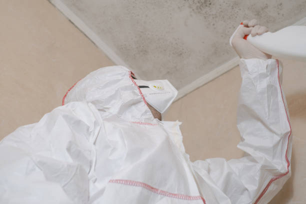 Crawl Space Mold Removal in Clearlake Oaks, CA