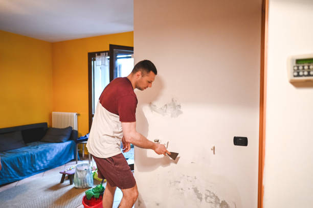 Mold Removal Process in Clearlake Oaks, CA