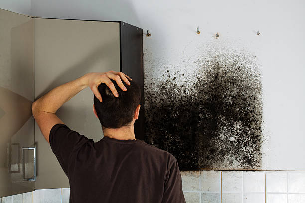 Best Mold Testing  in Clearlake Oaks, CA
